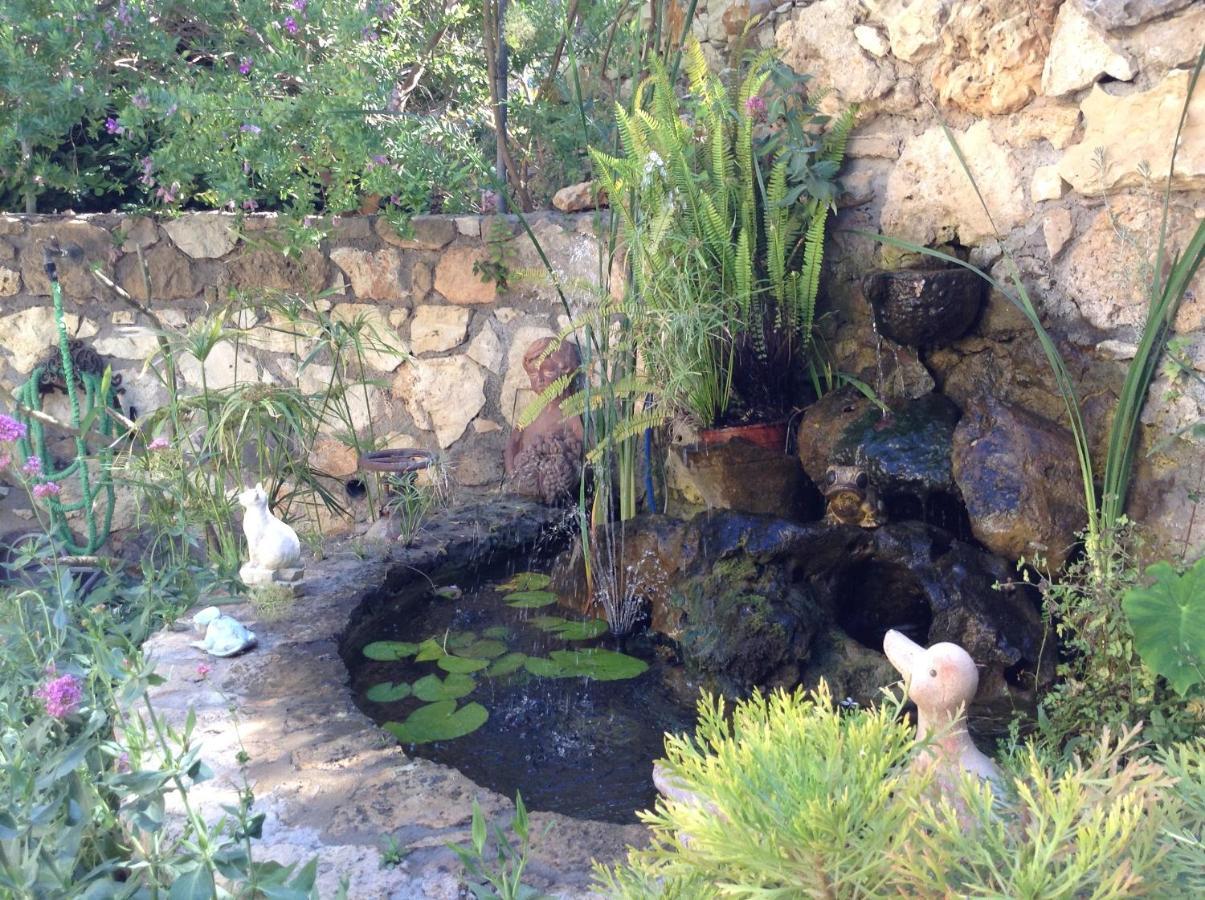 Olive House Traditional Villa With Pool سيتيا المظهر الخارجي الصورة